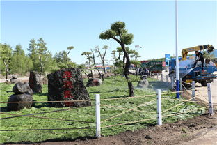 阿爾山景區(qū)以園林綠化工程打造別樣風(fēng)景