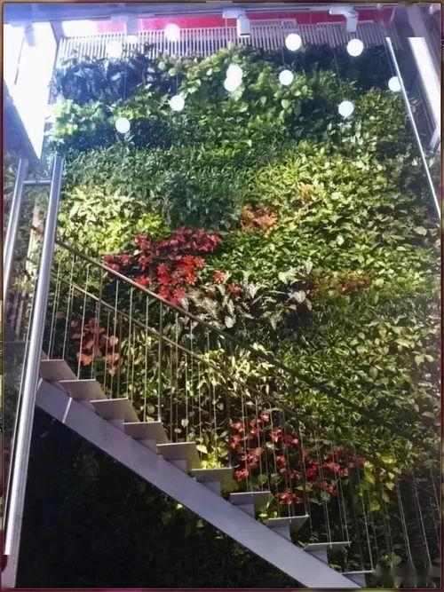 園林工程中的6種垂直綠化形式 提升空間效能與生態(tài)美學