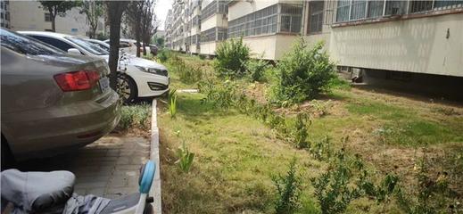 園林綠化工程竣工驗(yàn)收?qǐng)?bào)告流程與機(jī)構(gòu)指南